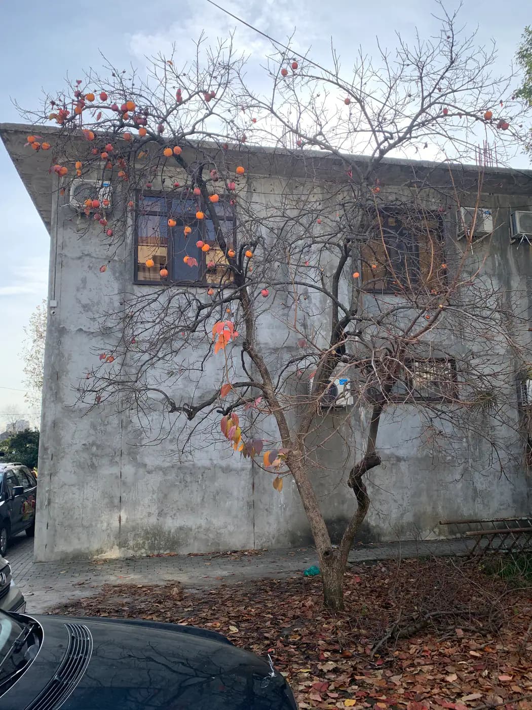 Private house in Abkhazia, view 4